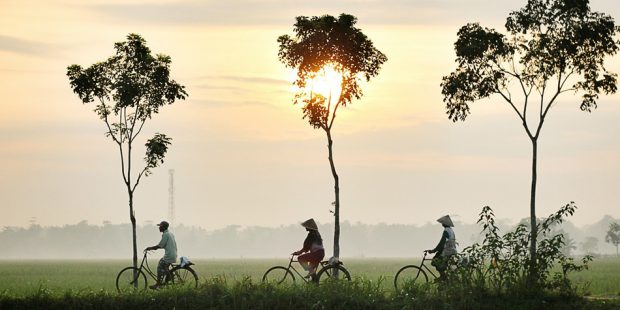 rejser til vietnam