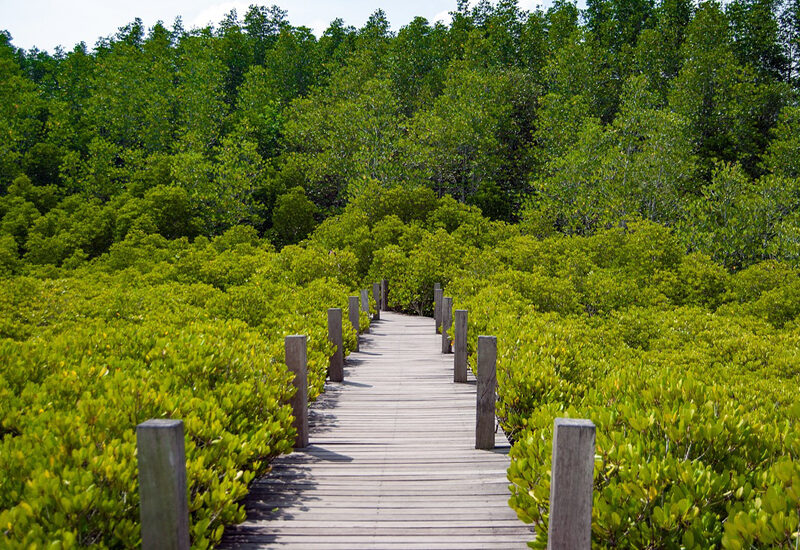oplevelser i østthailand